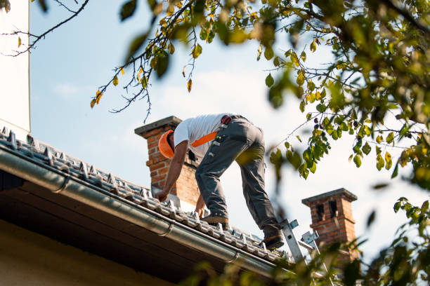 Best Roof Waterproofing Services  in Thermopolis, WY